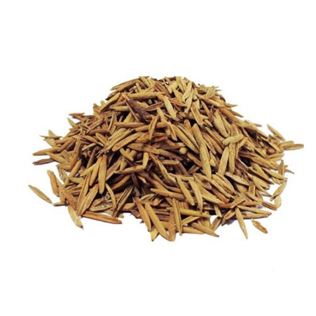 Wrightia tinctoria - Indrajau Meetha-TheWholesalerCo-exports-Indian-pure-jadi-booti-herbs-spices-powder-oil-extracts