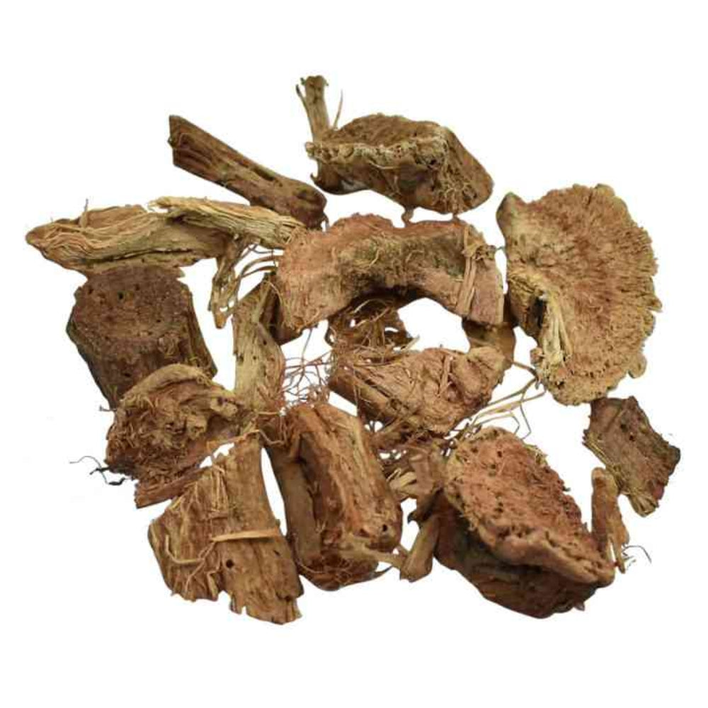 Bombax malabaricum - Semal-TheWholesalerCo-exports-bulk-Indian-pure-original-jadi-booti-whole-herbs-spices-herbal-powder