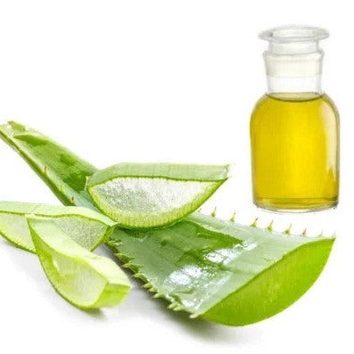 Aloe Vera Oil - Aloe vera - Essential oil@TheWholesalerCo