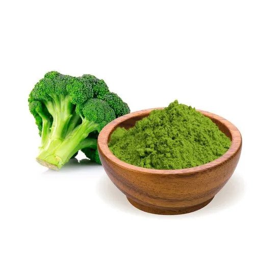 Broccoli Powder-Brassica oleracea- thewholesalerco-exporter