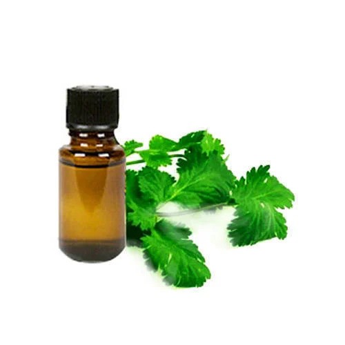 Coriander Leaf Oil - Coriandrum sativum - Essential oil@TheWholesalerCo