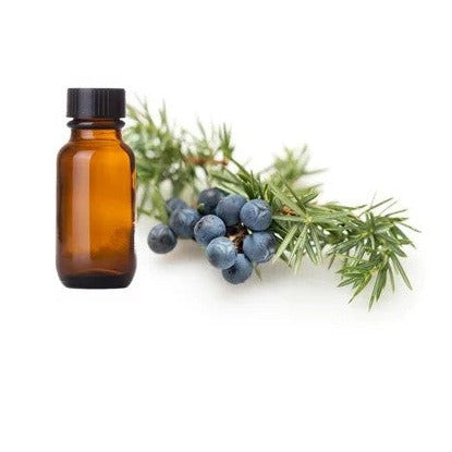 Juniper Berry Oil - Juniperus Communis - Essential oil@TheWholesalerCo