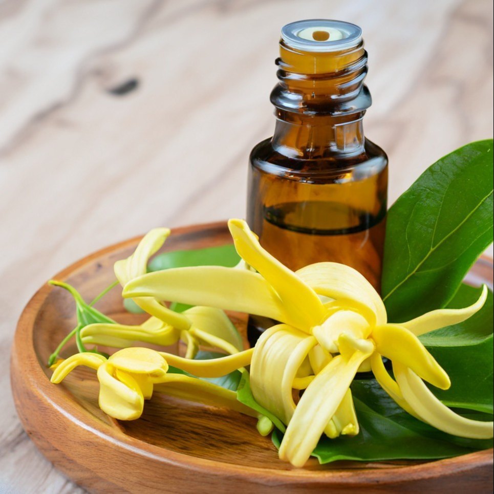 Ylang Ylang Oil - Cananga odorata-Essential oil@TheWholesalerCo