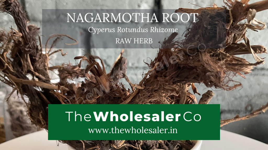 Nagarmotha root - Musta - Cyperus Rotundus Rhizome - Chitasan