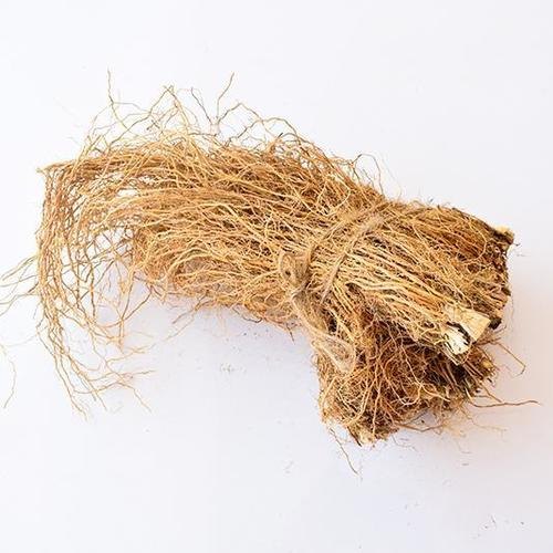 Khus Root - Vetiveria Zizanioides - Vetiver Root  - TheWholesalerCo