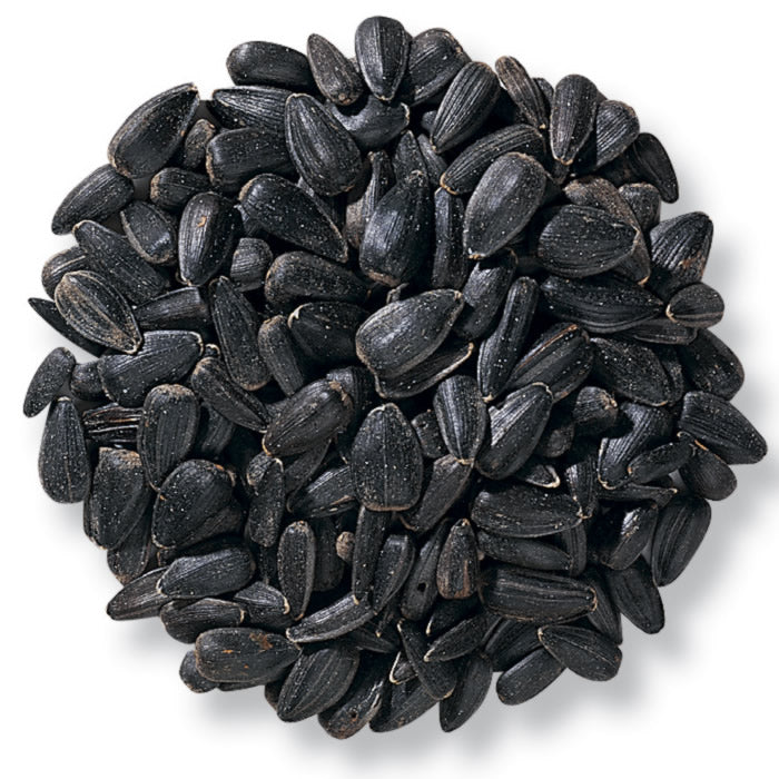 Black Sunflower Seeds - Surajmukhi Beej Kala - Helianthus annuus | TheWholesaler |