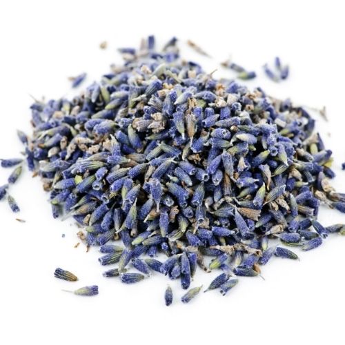 Lavender Flower Bud (Dried) - Ustu Khuddus - Ustekhadoos - Ustukhuddus - Lavendula stoechas - Dharu | 1Kg, 5Kg Wholesale price |
