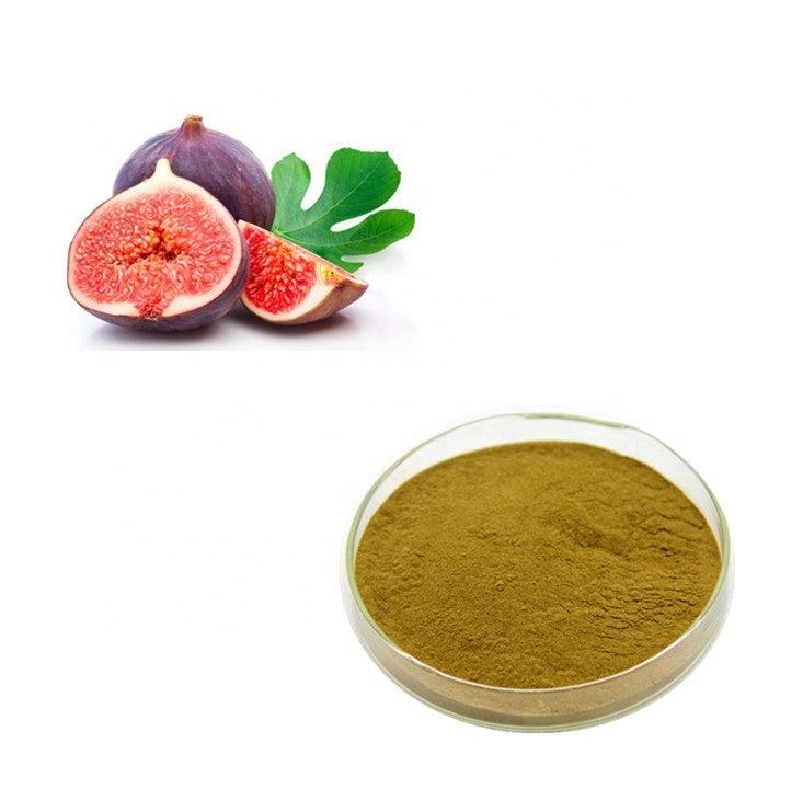 Fig - Fruit Powder - Anjeer - Anjir - Ficus carica  | 1Kg, 5Kg Wholesale price |