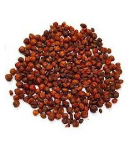 Malkangni Seeds - Jyotishmati - Celastrus Paniculatus | TheWholesalerCo |