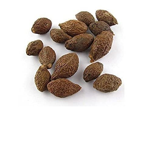 Niranjan Phal - Sterculia Lychnophora - Malva Nuts - China Fruit | TheWholesalerCo |