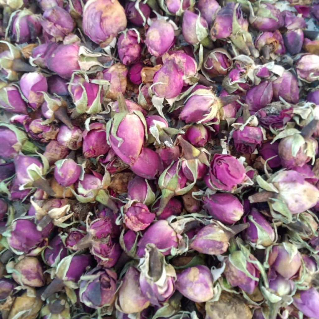 Dried Pink Rose Buds - Gulab Bud - Rosa Gallica | Wholesale price - 1 Kg, 5 Kg |