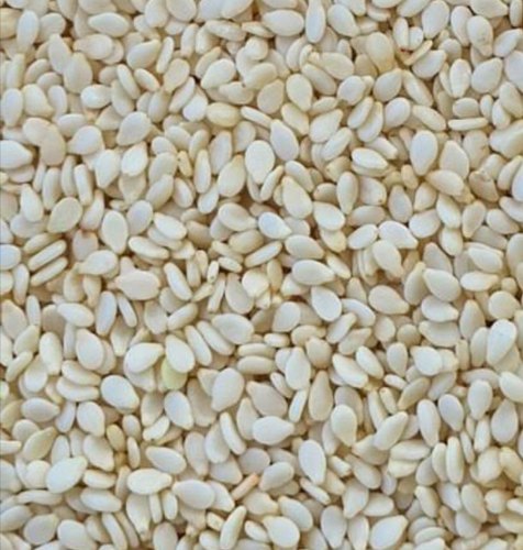 SESAME SEEDS (White)-Raw seed-तिल, எள், তিল, ಎಳ್ಳು, എള്ള്, నువ్వులు | Wholesale price 1 Kg, 5 Kg |