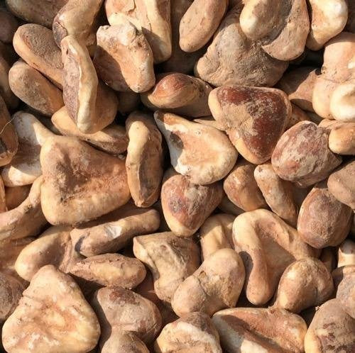 thewholesalerco-Water Chestnut (Dry) - Singhara Dried - Singhada Sookha - Singhara Sukha  - Trapa bispinosa