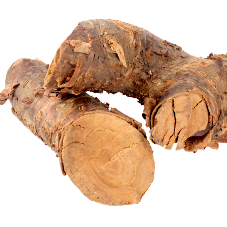 thewholesalerco-Sugandh Mantri - Gandhi Roots - Homalomena aromatica