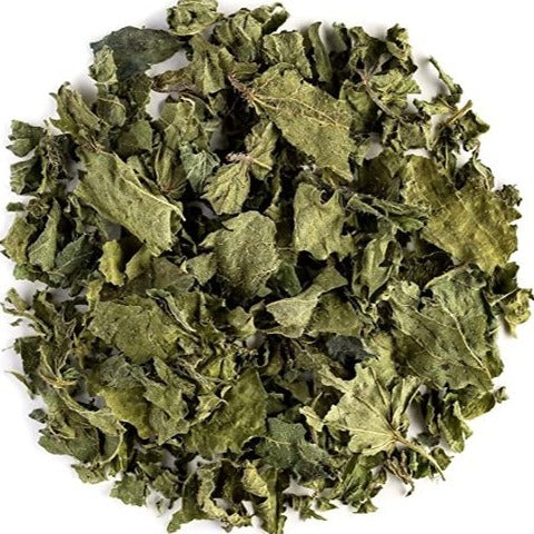 Dry Nettle leaf - Urtica dioica - Bichhua Pattee - Bichu Buti | TheWholesalerCo |