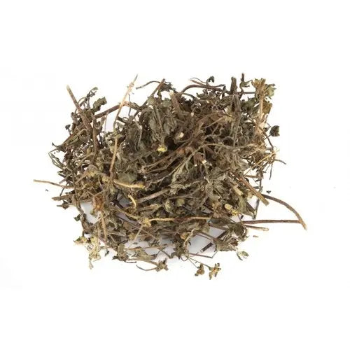 Eclipta alba - Bhringraj-TheWholesalerCo-exports-Indian-pure-jadi-booti-herbs-spices-powder-oil-extracts