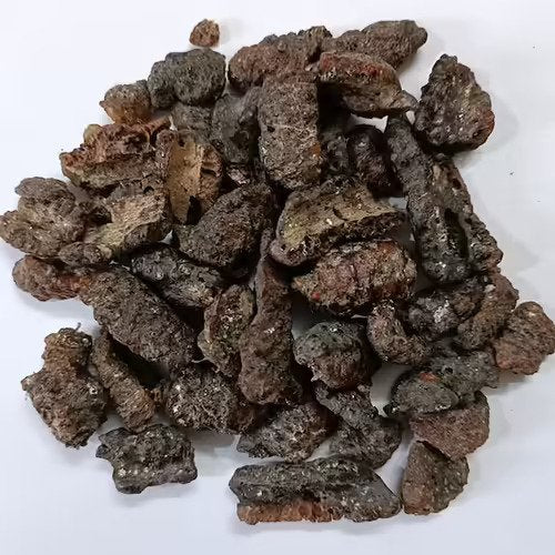 Ficus religiosa - Shellac Lac-TheWholesalerCo-exports-Indian-pure-jadi-booti-herbs-spices-powder-oil-extracts