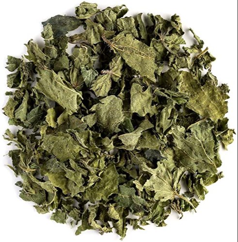 Urtica dioica - Nettle-TheWholesalerCo-exports-Indian-pure-jadi-booti-herbs-spices-powder-oil-extracts