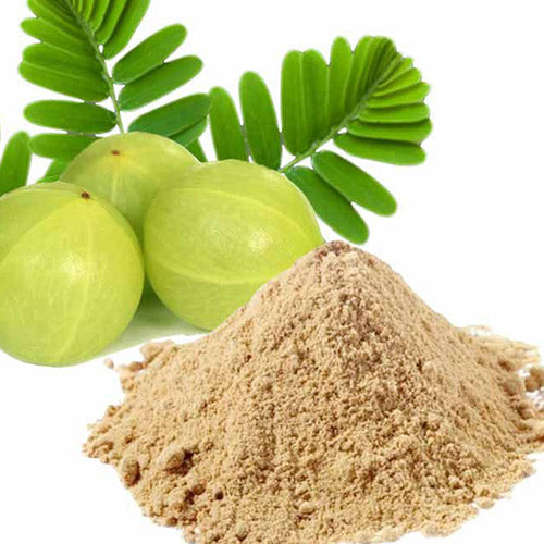 thewholesalerco-Phyllanthus Emblica-amla-Powder-Leaves-Slice-Dehydrated-Dried-Oil-Extract-Seeds