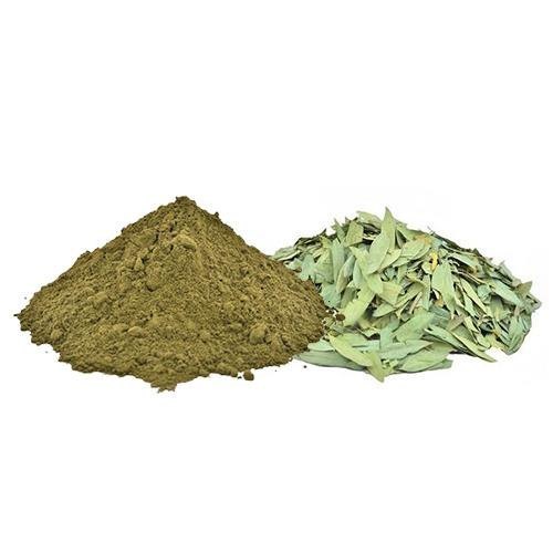 Senna Alexandrina - Senna-TheWholesalerCo-exports-bulk-Indian-pure-original-jadi-booti-whole-herbs-spices-herbal-powder