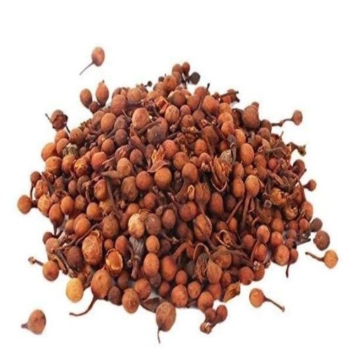 Ochrocarpus longifolius - Nagkesar-TheWholesalerCo-exports-Indian-pure-jadi-booti-herbs-spices-powder-oil-extracts