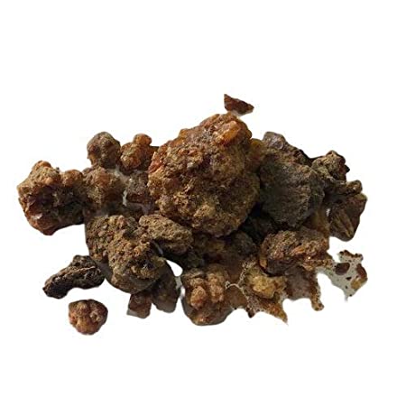 Commiphora Myrrha - Bijabol/Myrrh-TheWholesalerCo-exports-Indian-pure-jadi-booti-herbs-spices-powder-oil-extracts