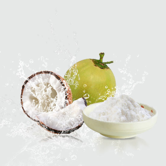 TheWholesalerCo-Coconut-Cocos nucifera-Powder-Leaves-Slice-Dehydrated-Dried-Oil-Extract-Seeds