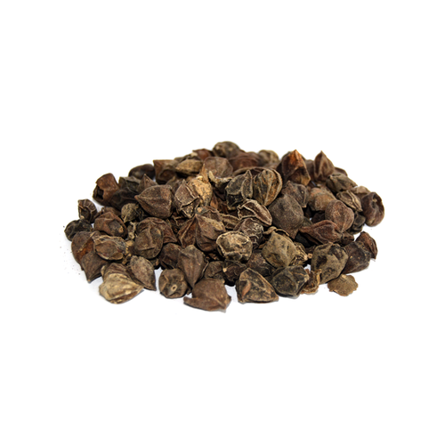 Cordia myxa - Lasoda-TheWholesalerCo-exports-Indian-pure-jadi-booti-herbs-spices-powder-oil-extracts