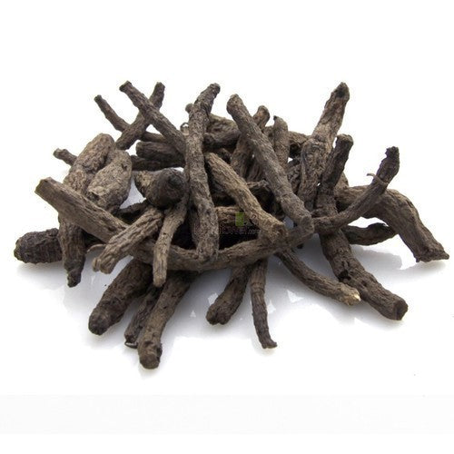 Curculigo orchiodes - Black Musli-TheWholesalerCo-exports-Indian-pure-jadi-booti-herbs-spices-powder-oil-extracts