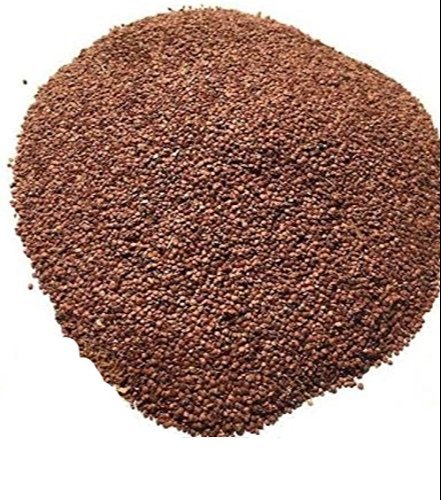 Mimosa pudica - Lajwanti-TheWholesalerCo-exports-Indian-pure-jadi-booti-herbs-spices-powder-oil-extracts