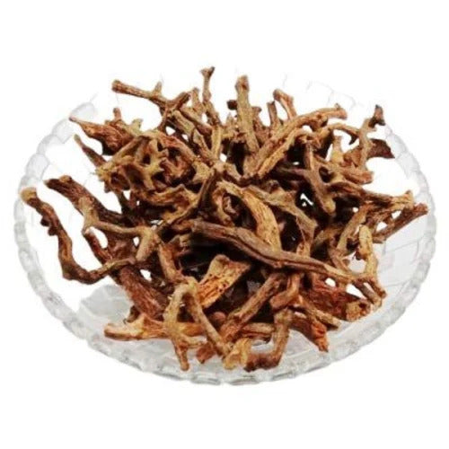 Polypodium vulgare - Bispais-TheWholesalerCo-exports-Indian-pure-jadi-booti-herbs-spices-powder-oil-extracts