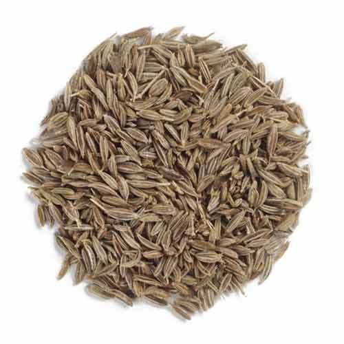 Carum Carvi - Caraway-TheWholesalerCo-Indian-spice-herb-powder-whole-Leaves-root-flower-seeds-essential-oil-extracts