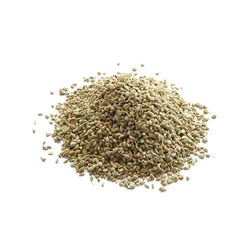 Carum Copticum-Ajwain-TheWholesalerCo-Indian-spice-herb-powder-whole-Leaves-root-flower-seeds-essential-oil-extracts