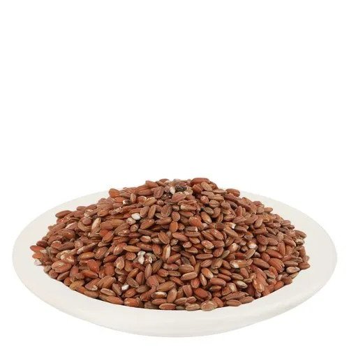 Oryza sativa - Red Rice-TheWholesalerCo-exports-bulk-Indian-pure-original-jadi-booti-whole-herbs-spices-herbal-powder