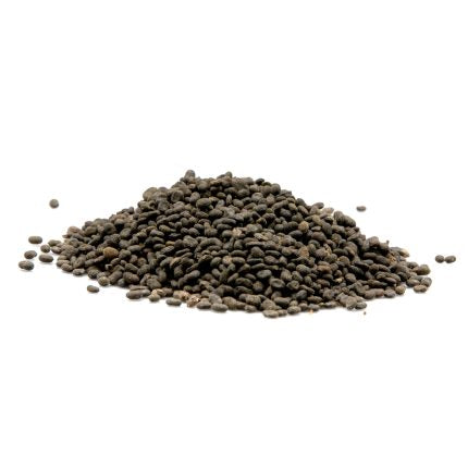 Celosia argentea - Surwali/Plumed Cockscomb-TheWholesalerCo-exports-bulk-Indian-pure-original-jadi-booti-whole-herbs-spices-herbal-powder