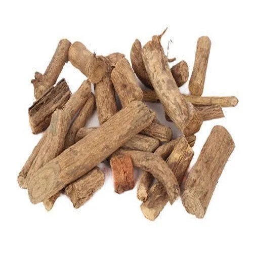 Argyreia nervosa - Vidhara/Elephant Creeper-TheWholesalerCo-exports-bulk-Indian-pure-original-jadi-booti-whole-herbs-spices-herbal-powder