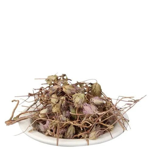 Hyssopus officinalis - Zufa/Hyssop-TheWholesalerCo-exports-bulk-Indian-pure-original-jadi-booti-whole-herbs-spices-herbal-powder