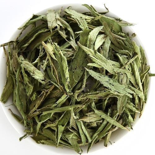 Stevia rebaudiana - Stevia-TheWholesalerCo-exports-bulk-Indian-pure-original-jadi-booti-whole-herbs-spices-herbal-powder