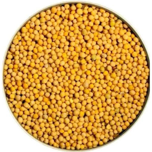Sinapis alba - Yellow Mustard-TheWholesalerCo-Indian-spice-herb-powder-whole-Leaves-root-flower-seeds-essential-oil-extracts