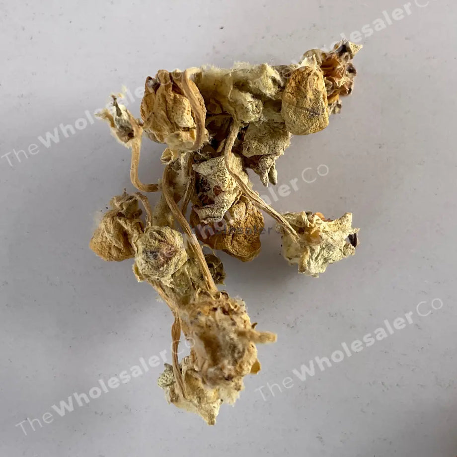 madar plant seeds Aak - Madar
