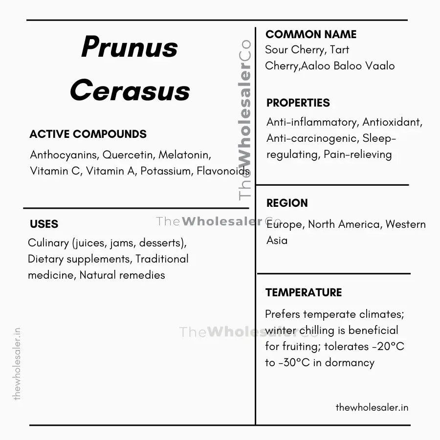 Aaloo Baloo Vaalo - Sour Cherry - Prunus Cerasus Product vendor
