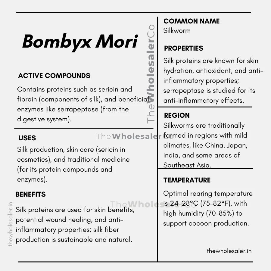 common name, Active compounds, properties, uses, benefits, growing region, temperature of Bombyx Mori how to use at home