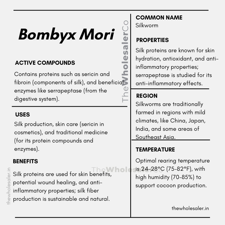 common name, Active compounds, properties, uses, benefits, growing region, temperature of Bombyx Mori how to use at home