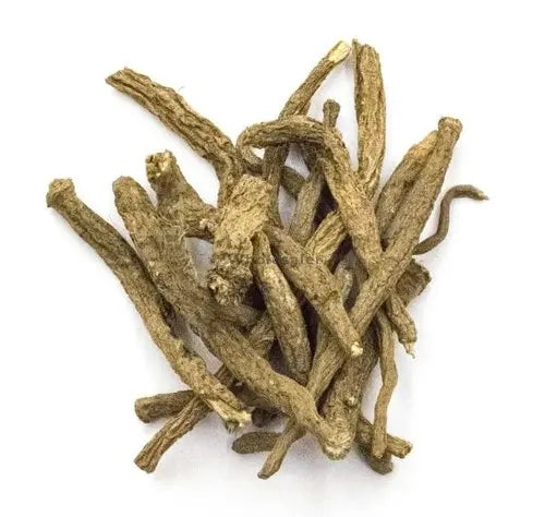 Akarkara Exract  - Anacyclus Pyrethrum - Pellitory Root 