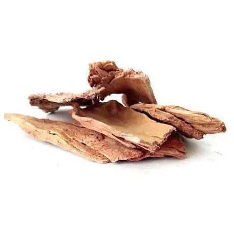 Arjuna Bark Extract - Terminalia Arjuna Product vendor