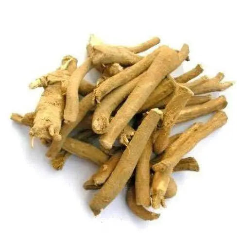 Ashwagandha - Asgandh - Withania Somnifera - Indian ginseng | Wholesale price - 1 Kg, 5 Kg |