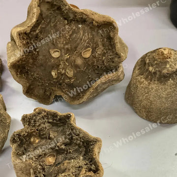 SENTA Poudre de balamkheera (Kigelia africana) – 100 g chacune SENTA Poudre de balamkheera (Kigelia africana) – 100 g chacune