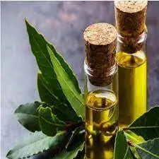 Bay Leaf Oil - Laurus nobilis - Essential Oil@WholesalerCo