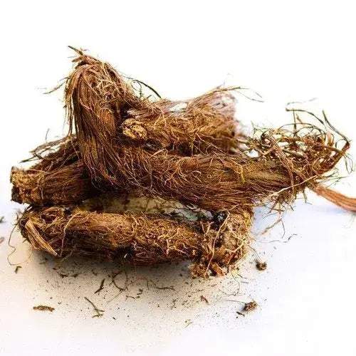 Beg karfas - Bhootkeshi – Selinum vaginatum Bulk Supplier@TheWholesaleCo Prices