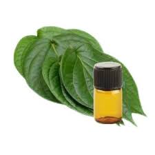 Betel leaf Oil - Piper betle - Essential Oil@TheWholesalerCo